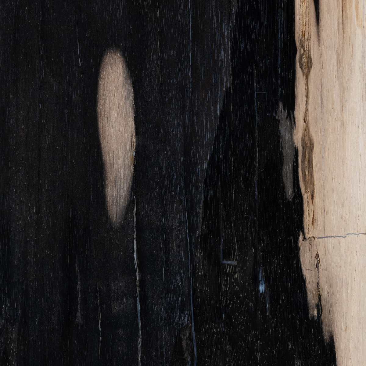 #color_dark-petrified-wood