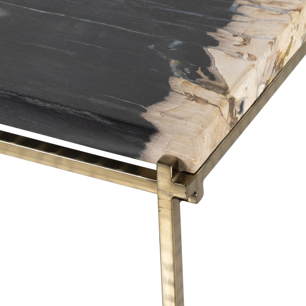 #color_dark-petrified-wood