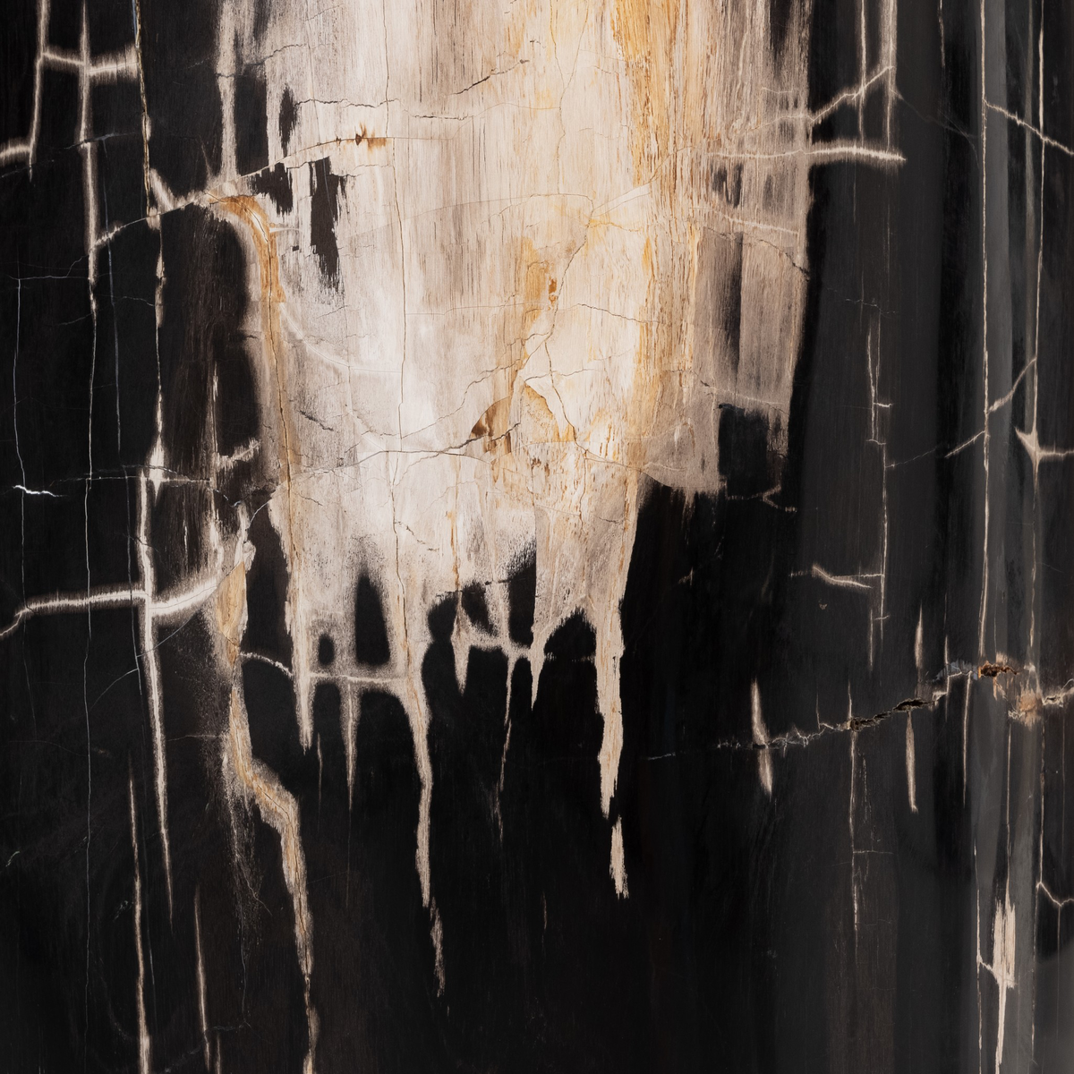 #color_dark-petrified-wood