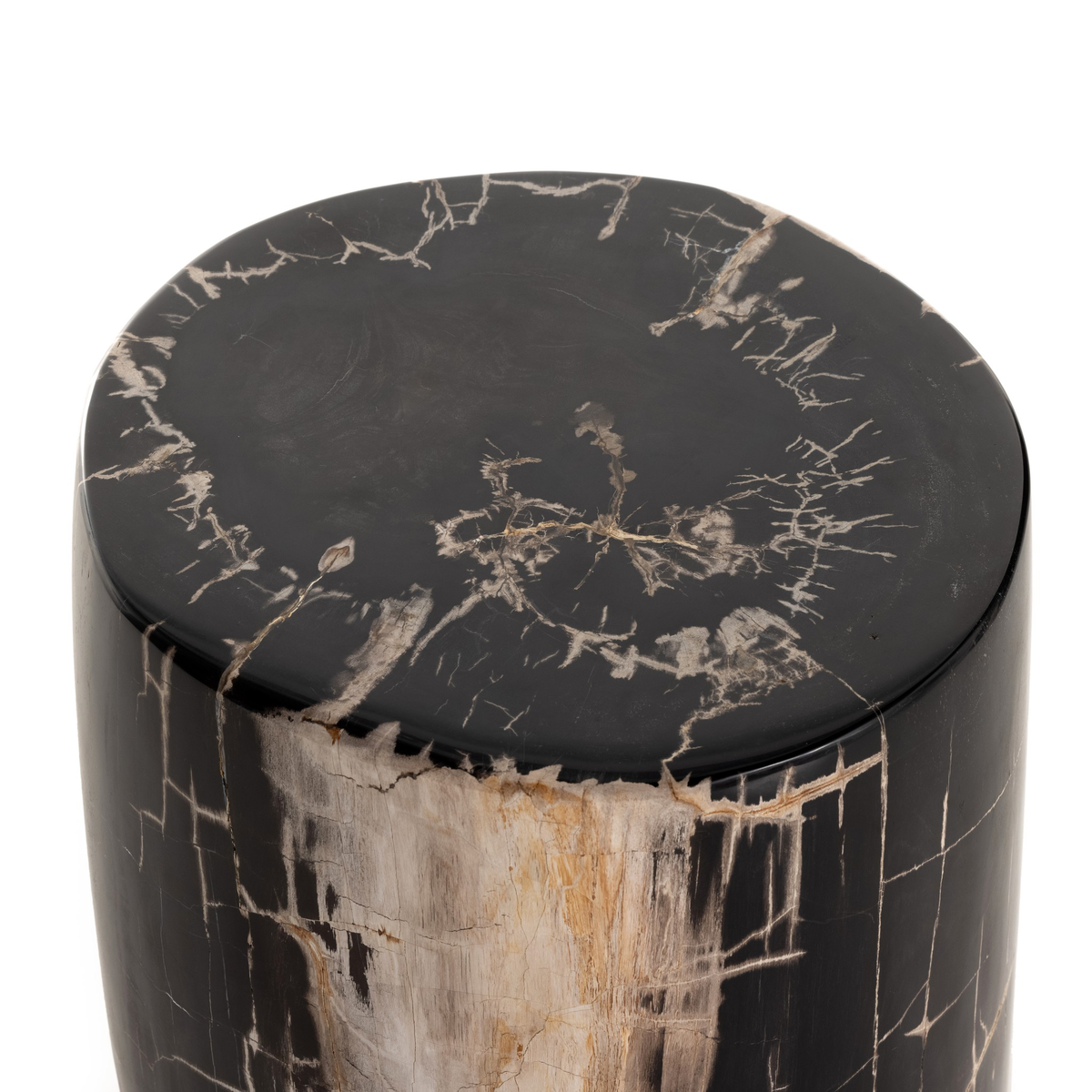 #color_dark-petrified-wood