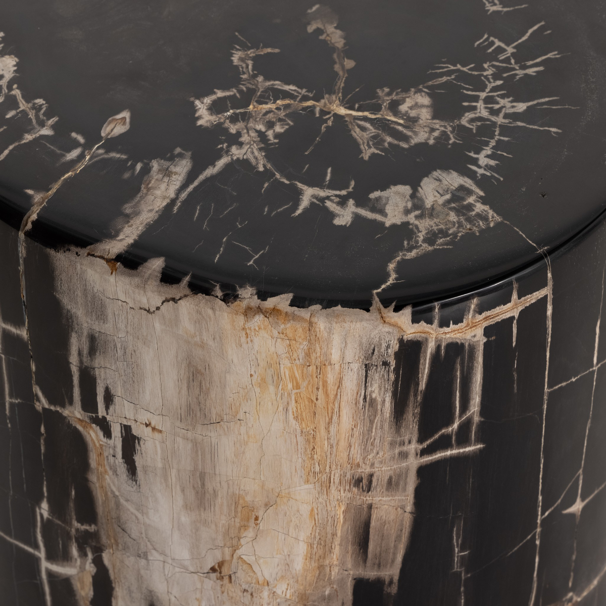 #color_dark-petrified-wood