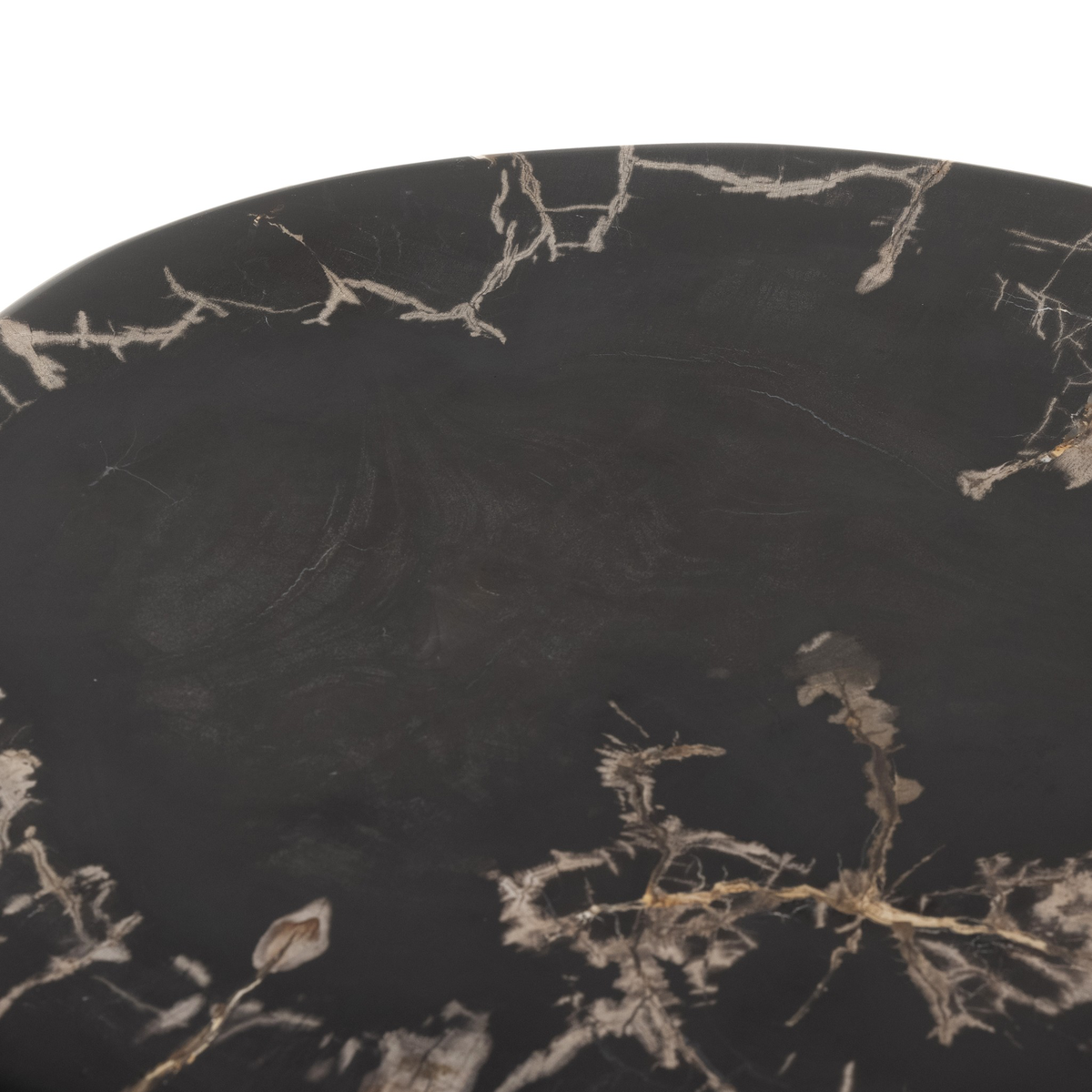 #color_dark-petrified-wood