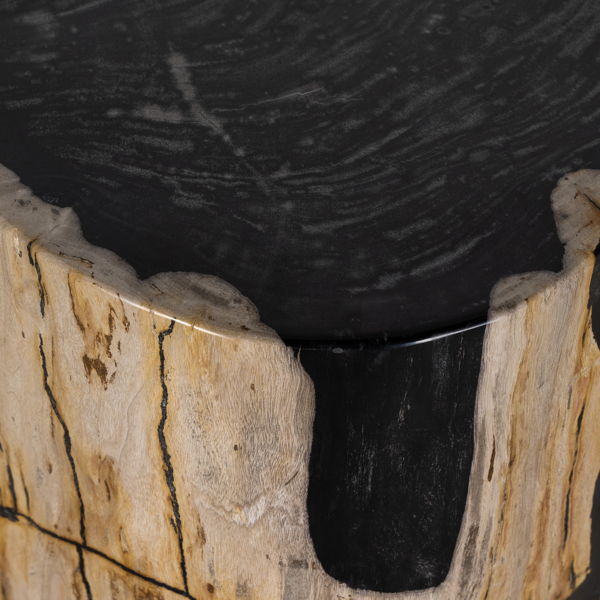 #color_light-petrified-wood