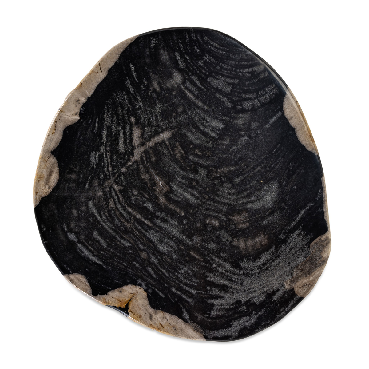 #color_light-petrified-wood