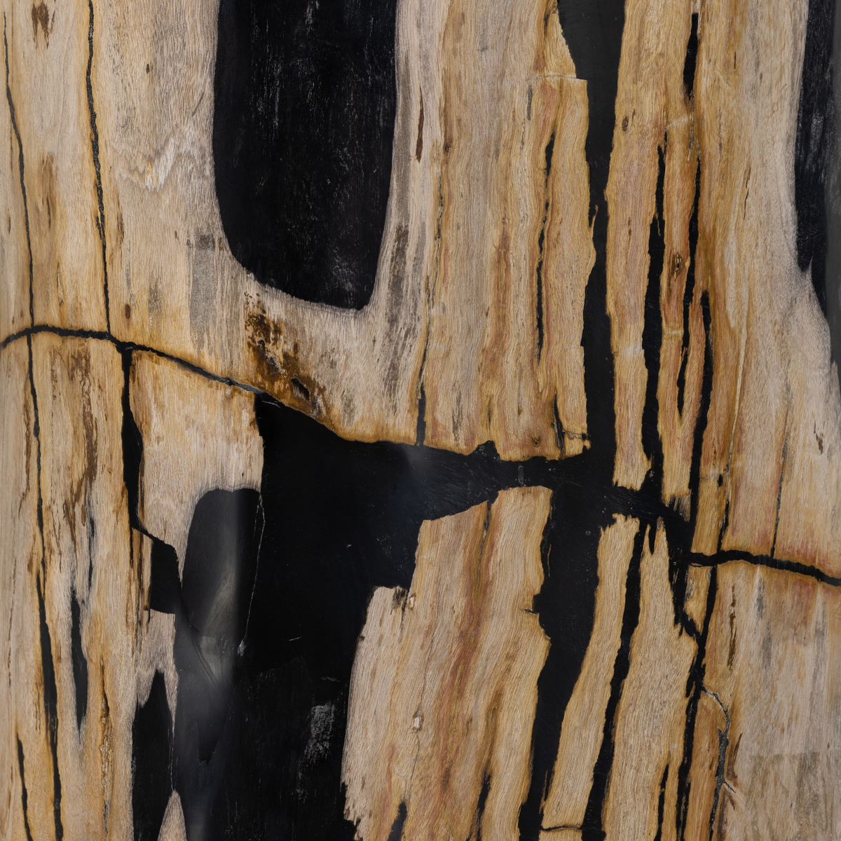 #color_light-petrified-wood