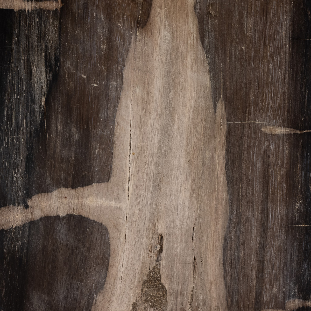 #color_dark-petrified-wood