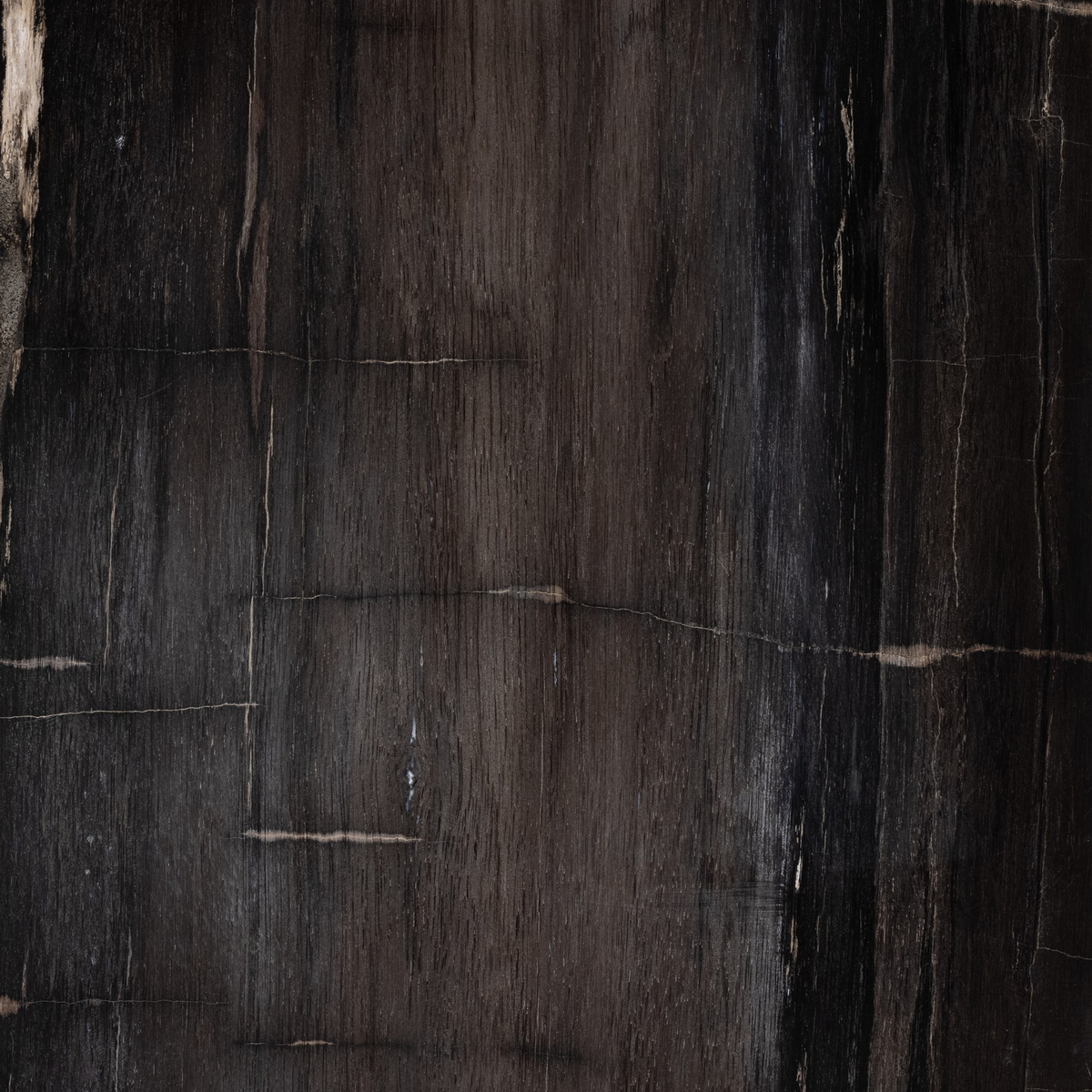 #color_dark-petrified-wood