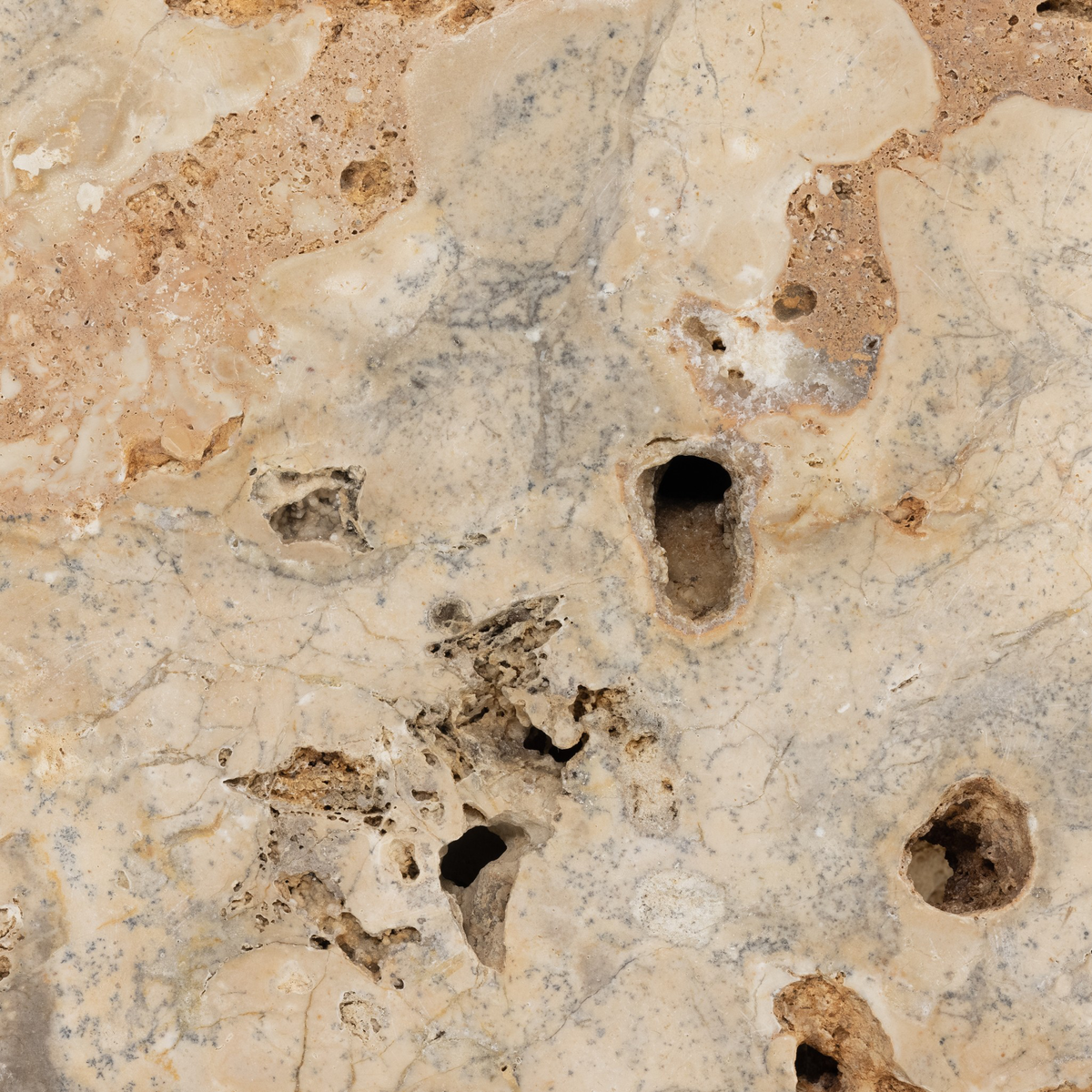 #color_romano-fosse-travertine