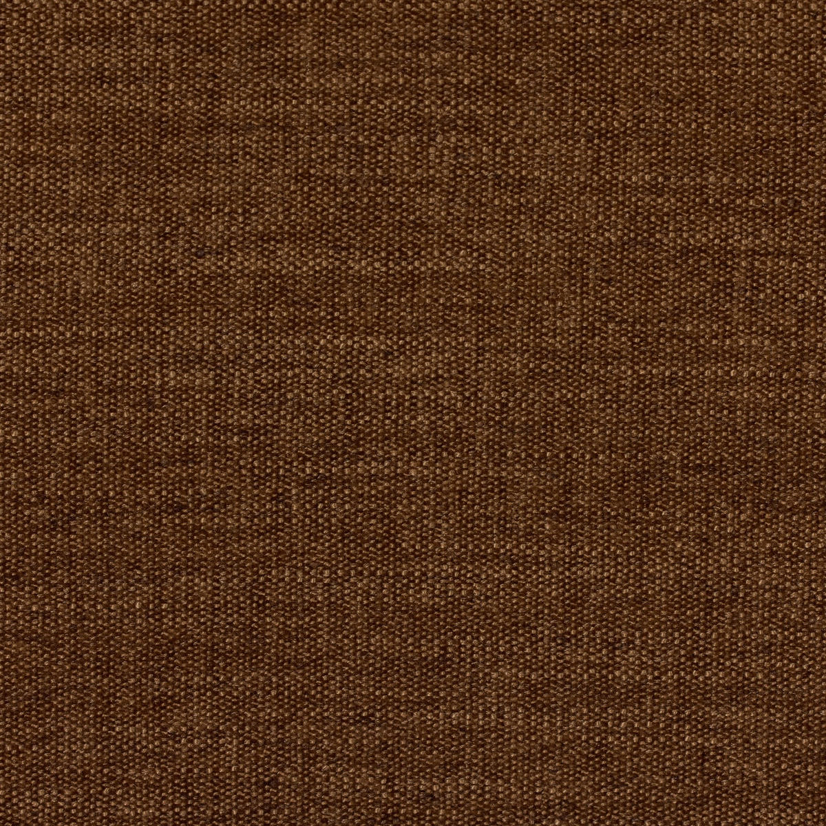 #color_laughlin-ochre