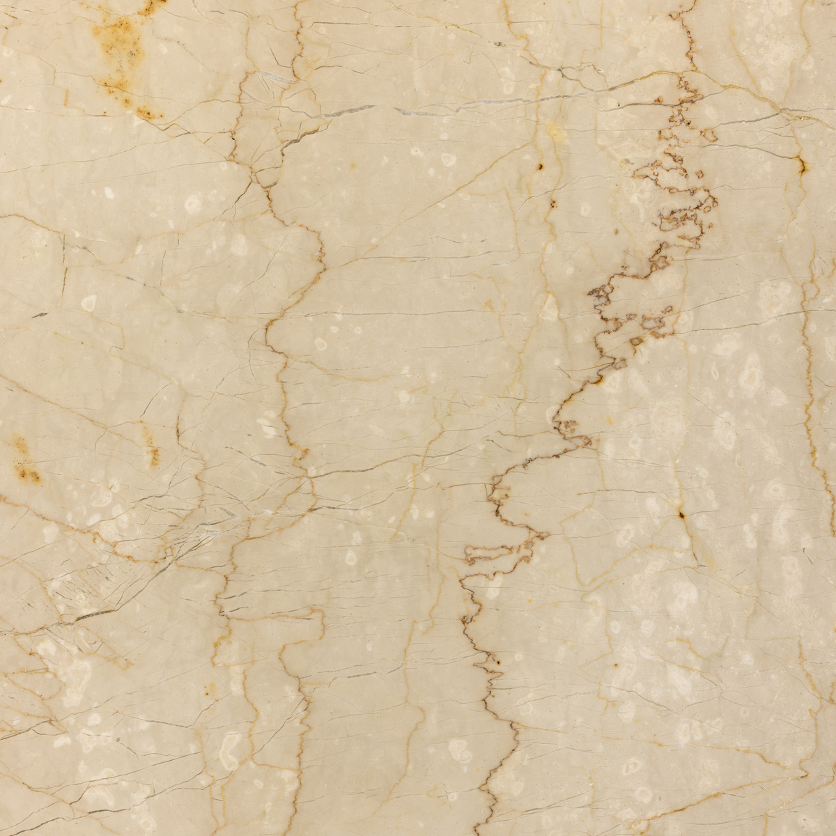 #color_cream-marble