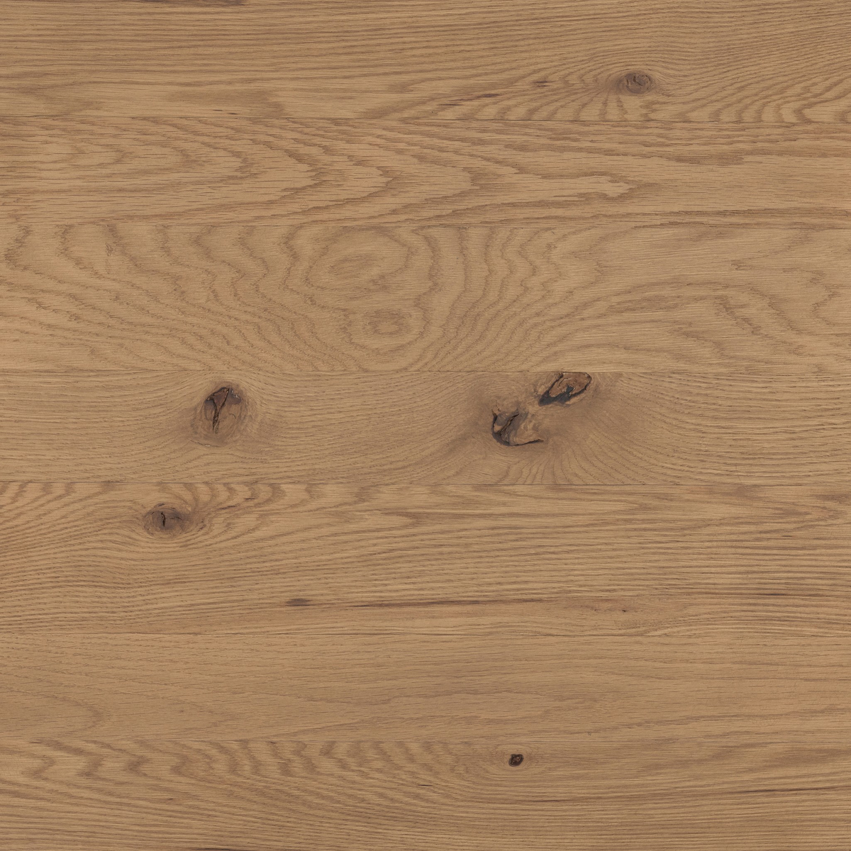#color_dusted-oak-veneer