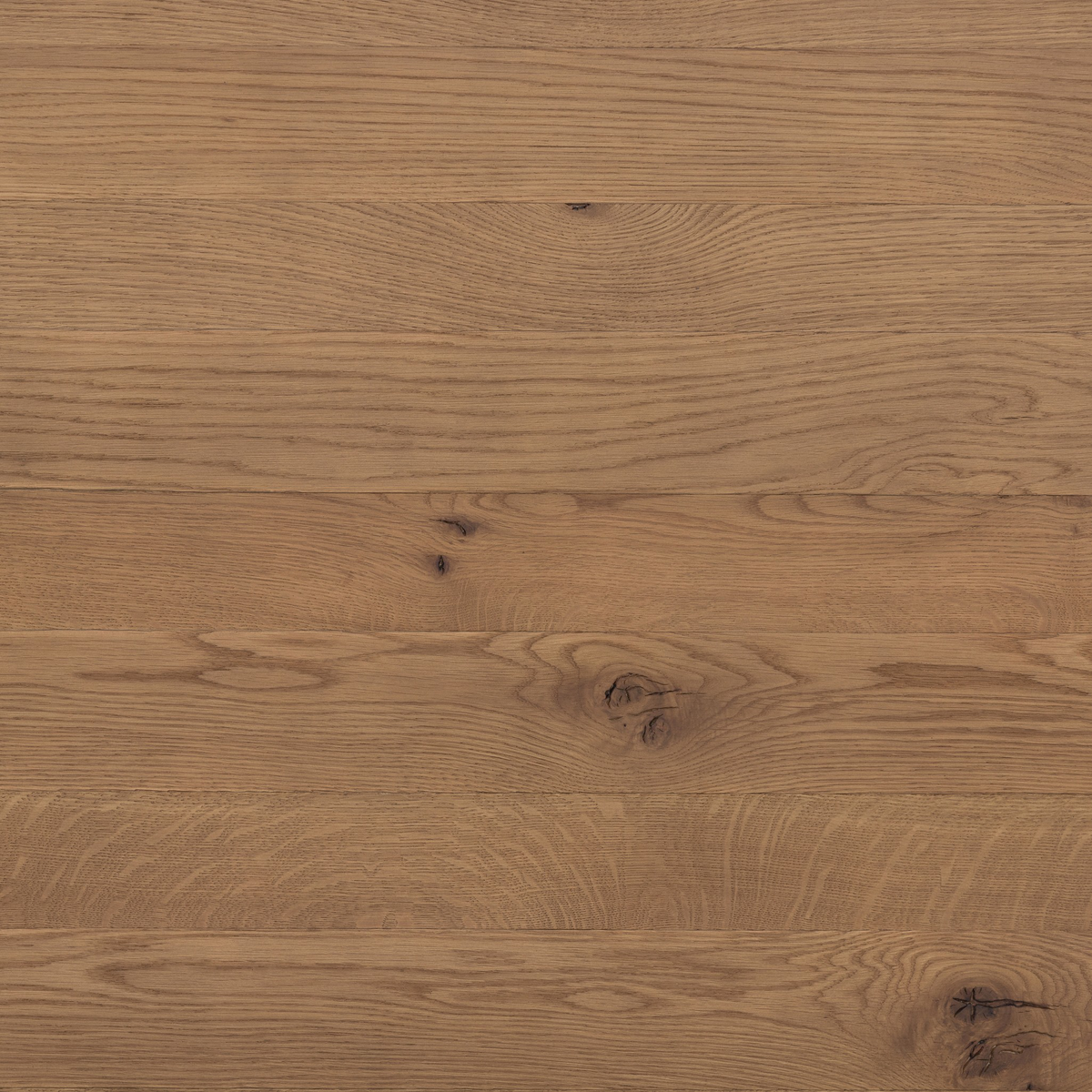 #color_dusted-oak-veneer