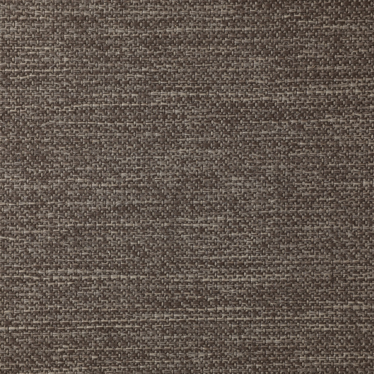 #color_ellor-brown