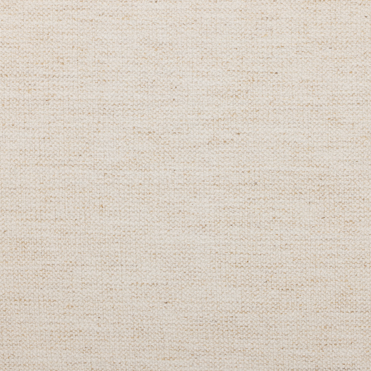 #color_crypton-nomad-snow