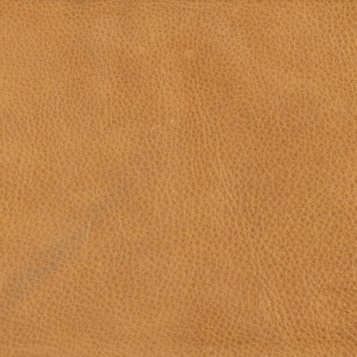 #color_halcyon-ivory