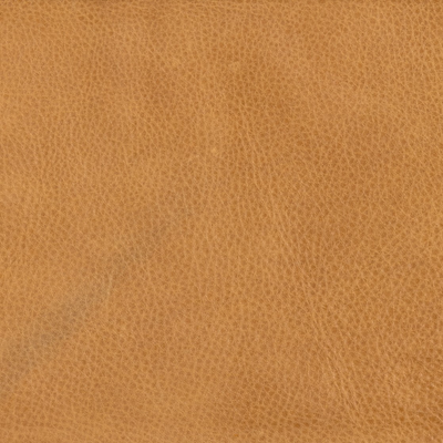 #color_halcyon-ivory