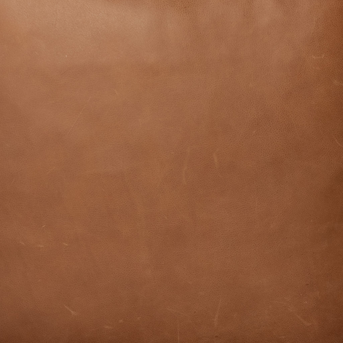 #color_palermo-cognac