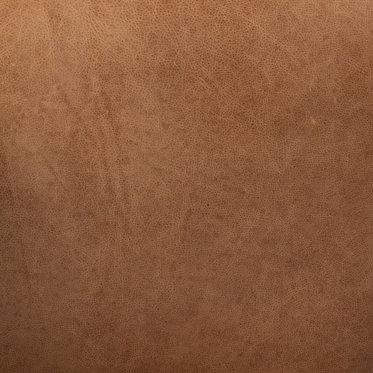 #color_chaps-saddle