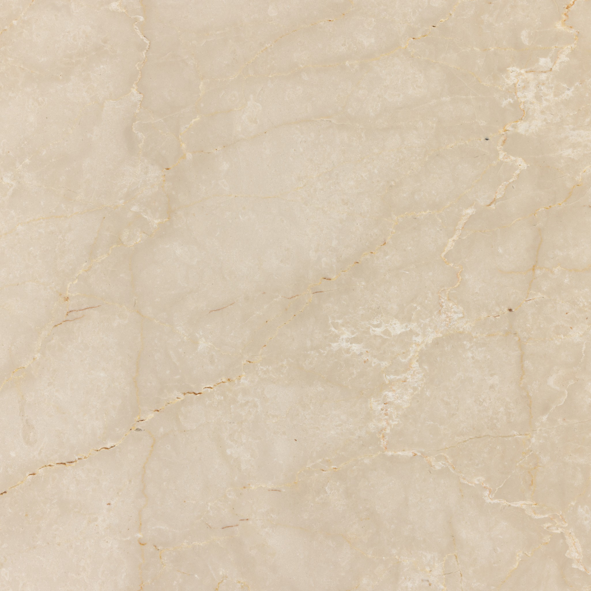 #color_cream-marble