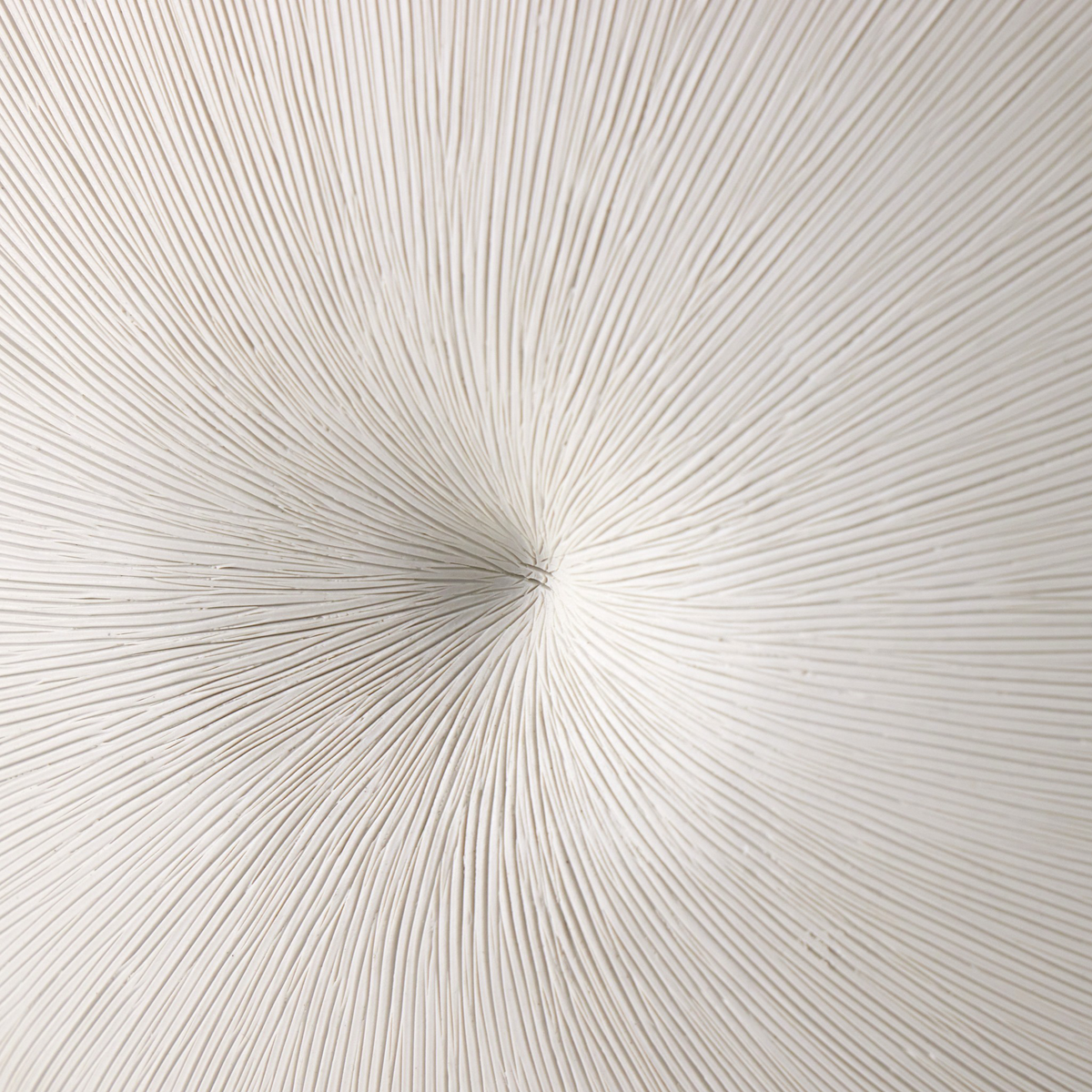 #color_textured-matte-white-porcelain-ceramic