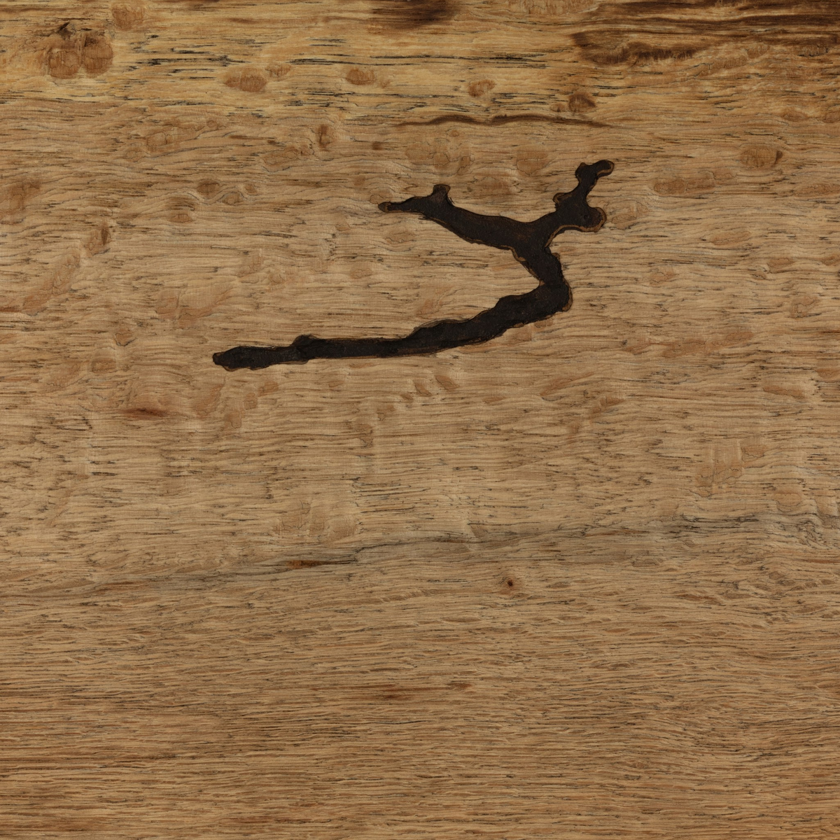 #color_rustic-wormwood-oak