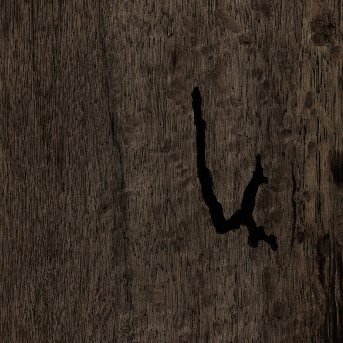 #color_ebony-rustic-wormwood-oak