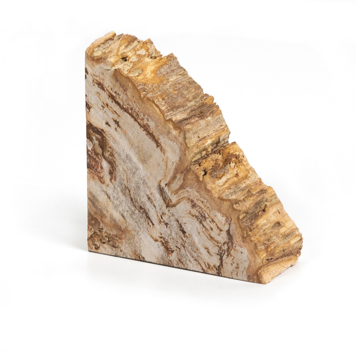 #color_light-petrified-wood