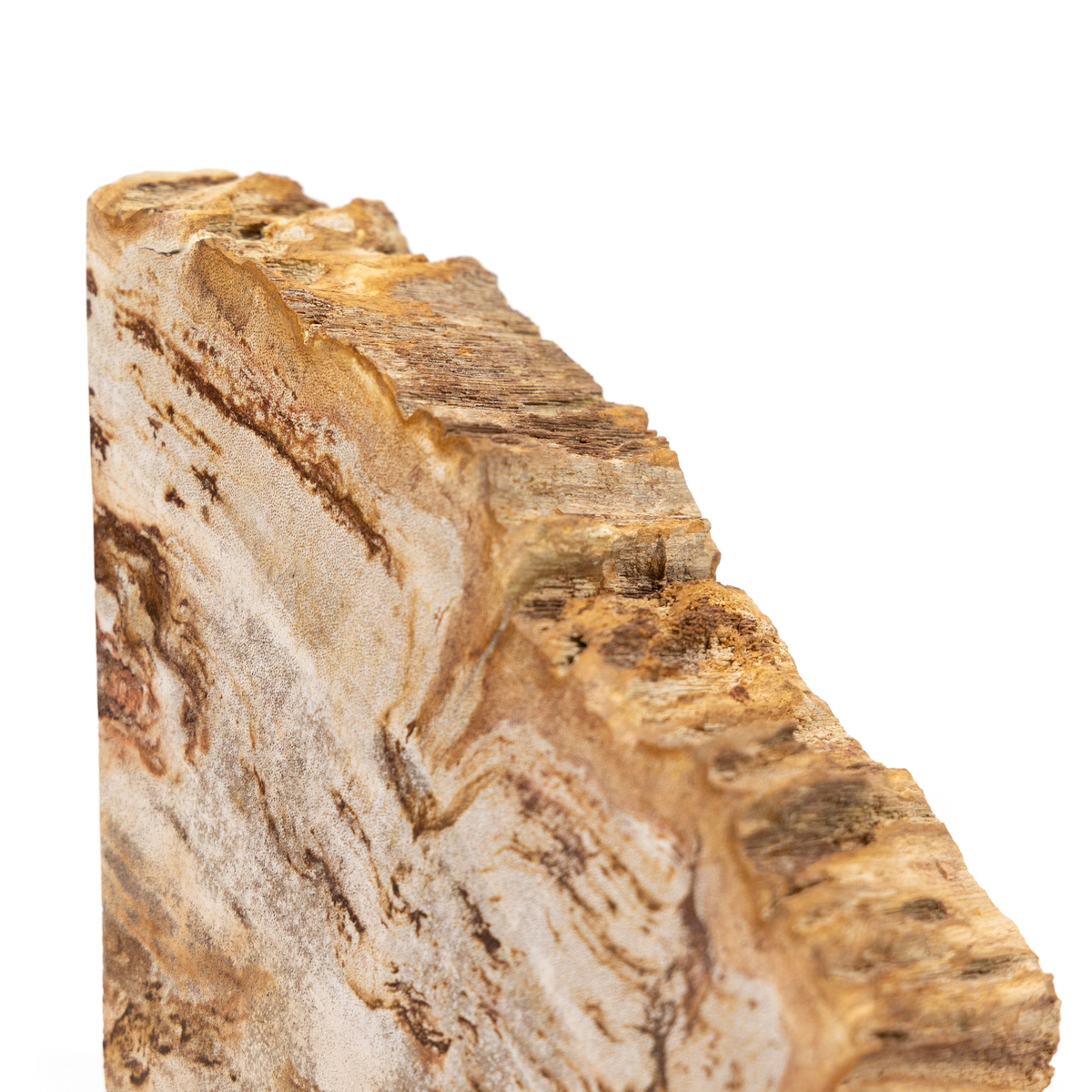 #color_light-petrified-wood