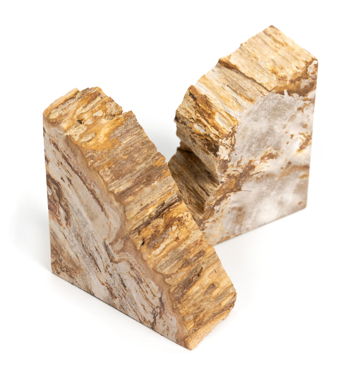 #color_light-petrified-wood