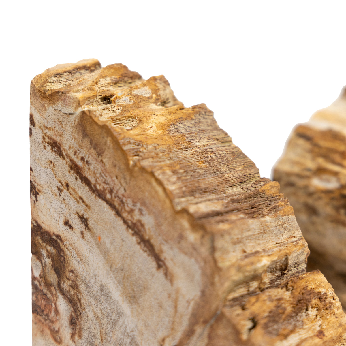 #color_light-petrified-wood