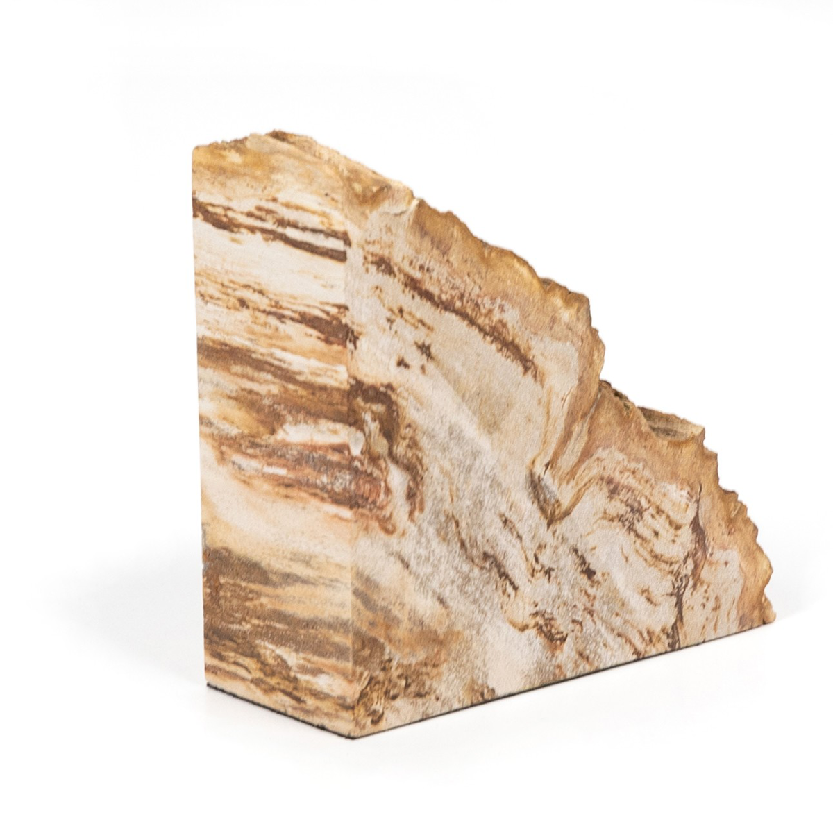 #color_light-petrified-wood