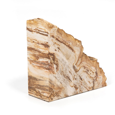 #color_light-petrified-wood