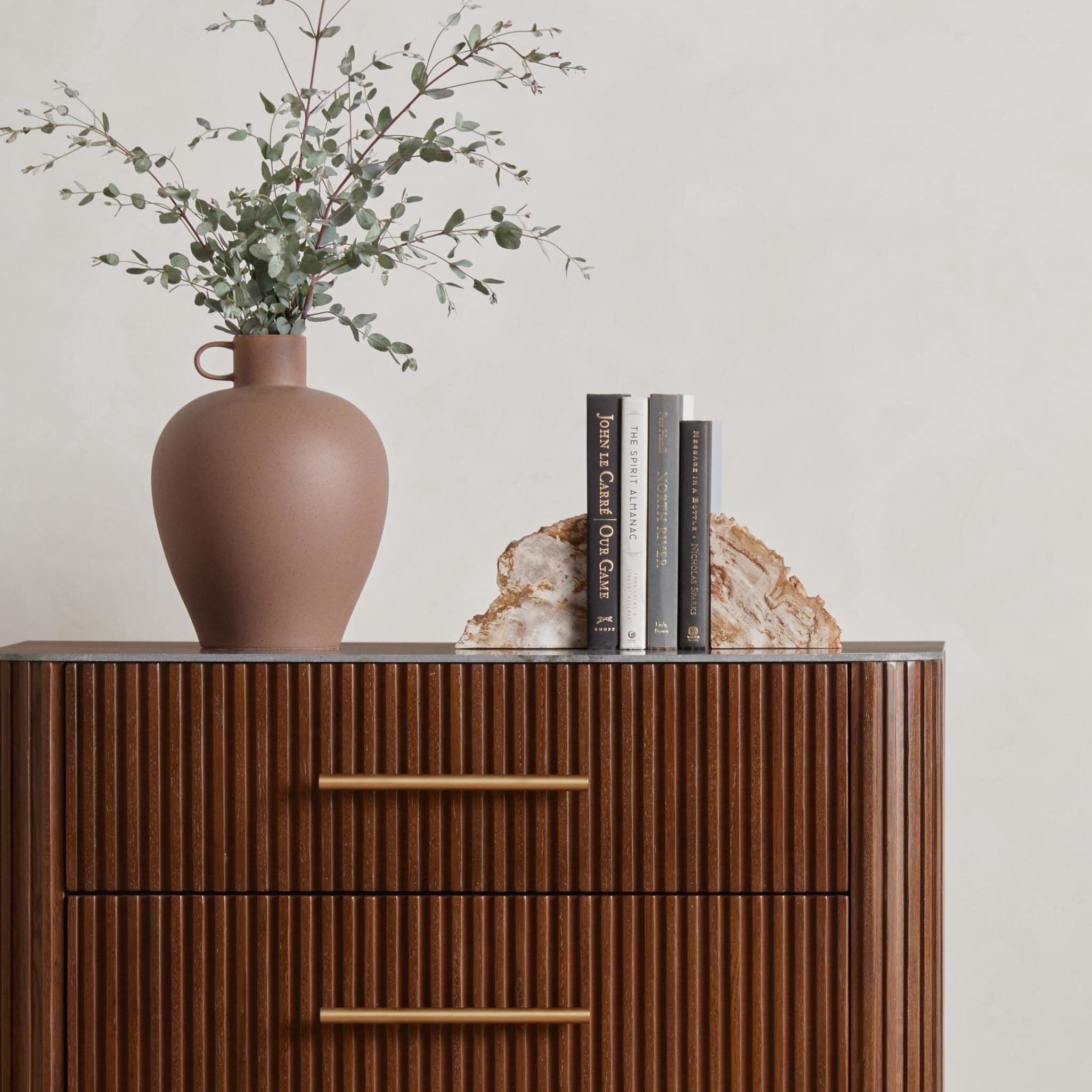 Petrified Wood Book Ends