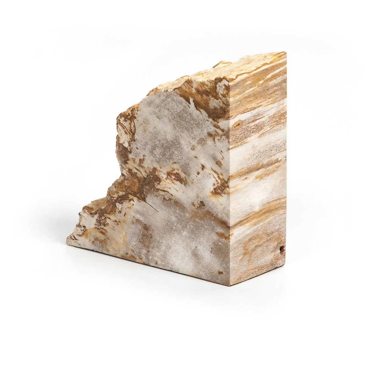 #color_light-petrified-wood