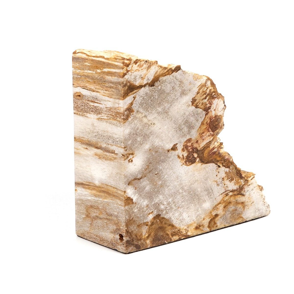 #color_light-petrified-wood
