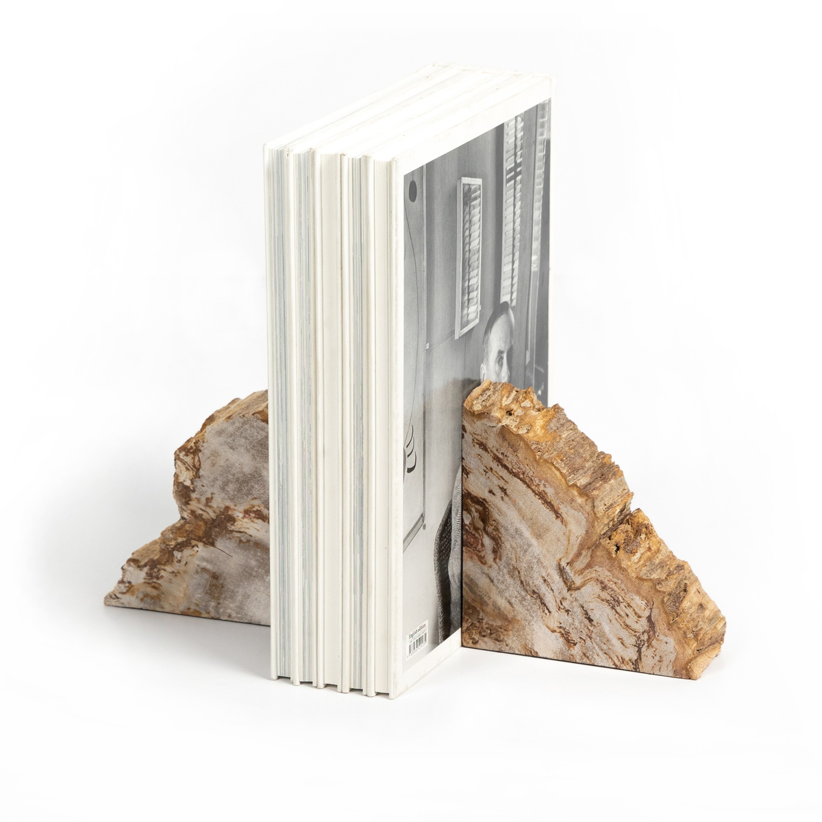 #color_light-petrified-wood