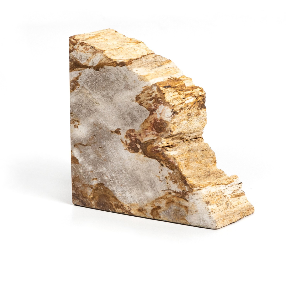#color_light-petrified-wood