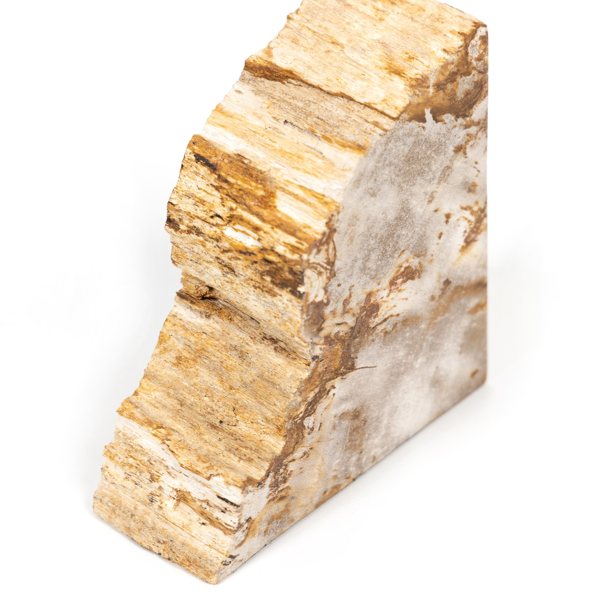 #color_light-petrified-wood