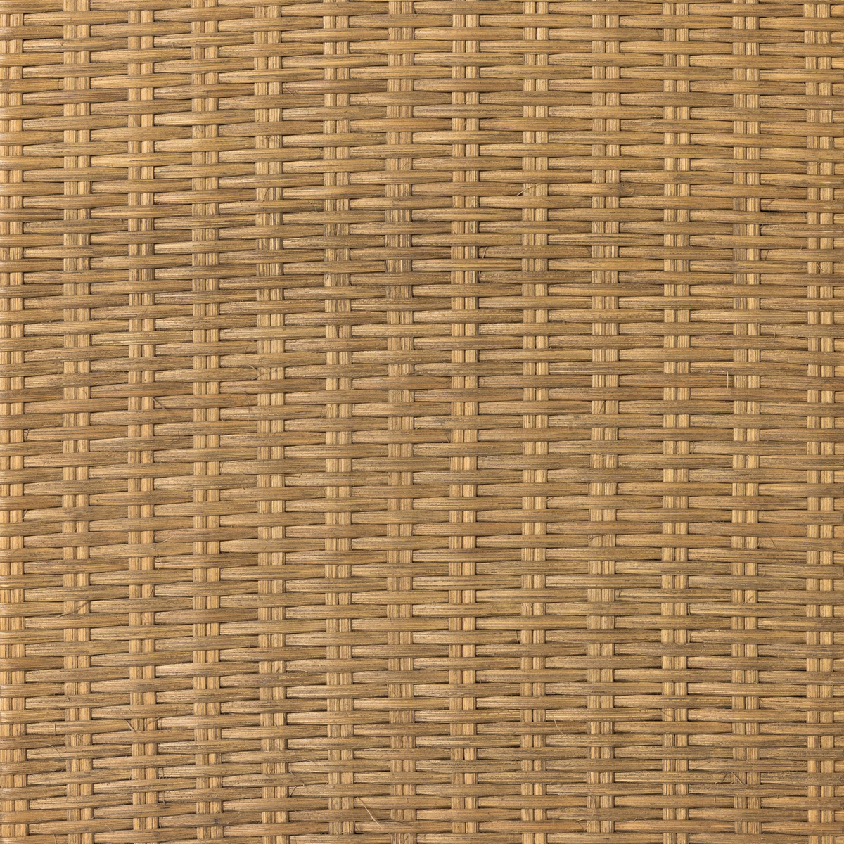 #color_taupe-mango