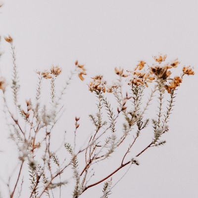 In The Details I By Annie Spratt by Four Hands