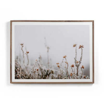 In The Details Ii By Annie Spratt by Four Hands