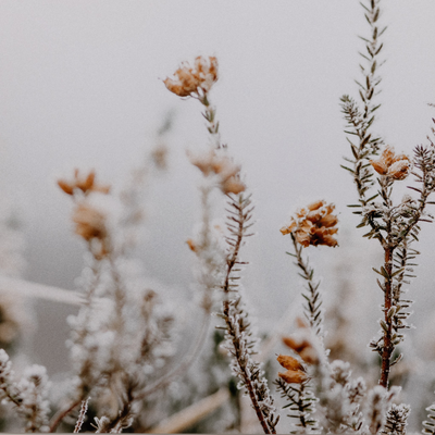 In The Details Ii By Annie Spratt by Four Hands