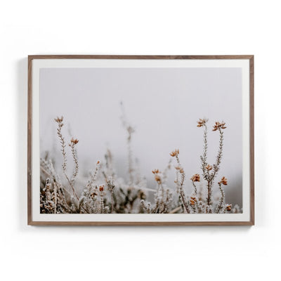 In The Details Ii By Annie Spratt by Four Hands
