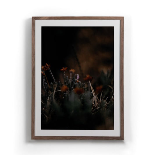 #color_rustic-2.5-walnut