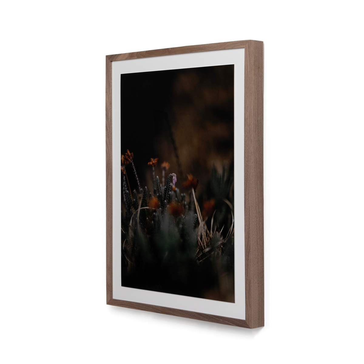 #color_rustic-2.5-walnut