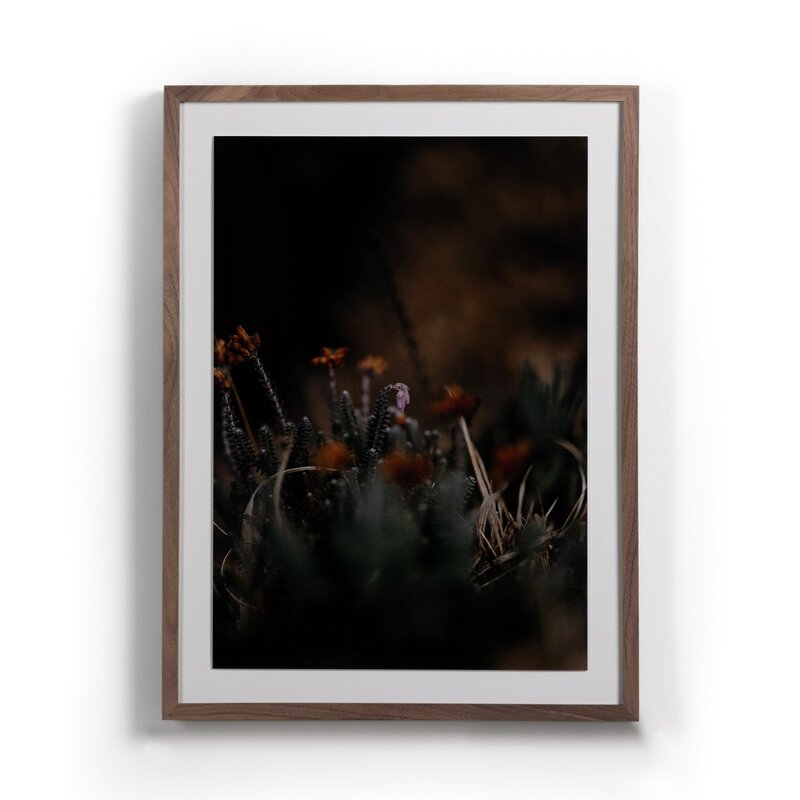 #color_rustic-2.5-walnut