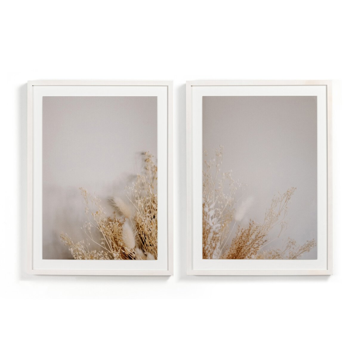 Dried Floral Diptych By Annie Spratt