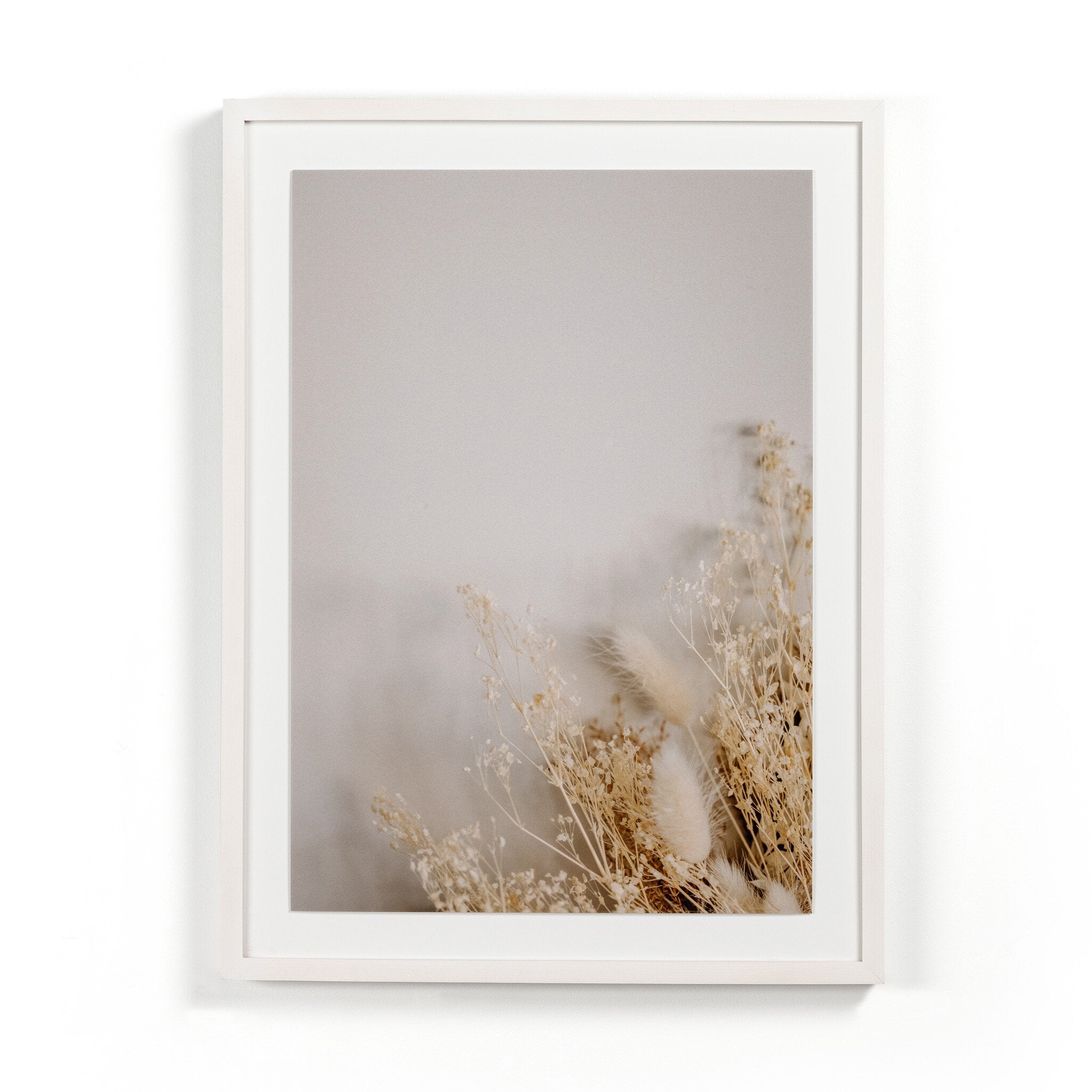 Dried Floral Diptych By Annie Spratt
