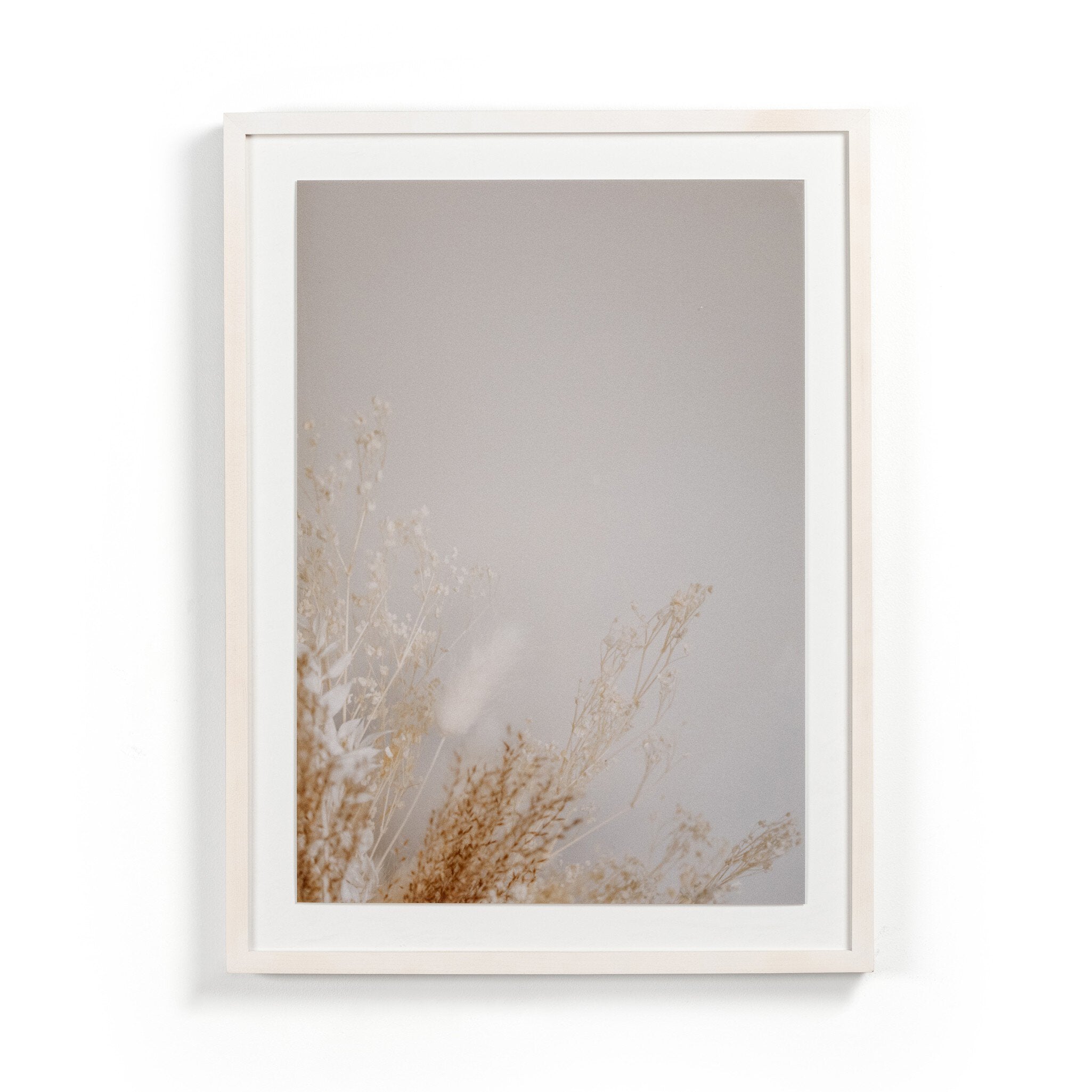 Dried Floral Diptych By Annie Spratt