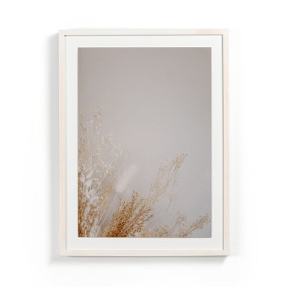 Dried Floral Diptych By Annie Spratt